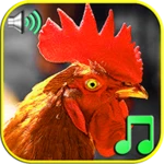 Logo of Funny Alarm Clock Ringtones android Application 